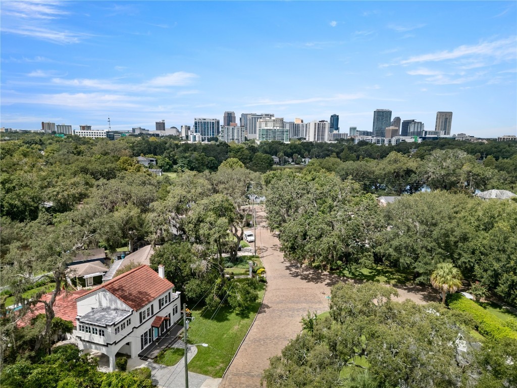 1408 E Church Street Orlando FL 32801 O6343980 image5