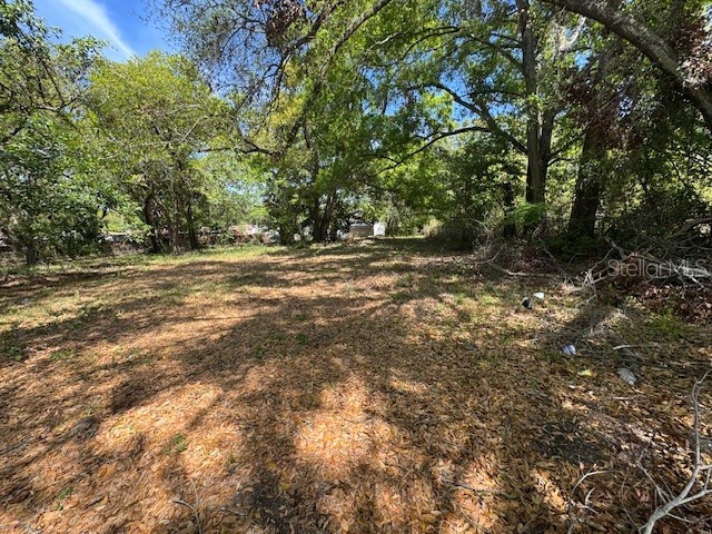 1408 E Dr Martin Luther King Jr Boulevard Tampa FL 33603 TB8417568 image3