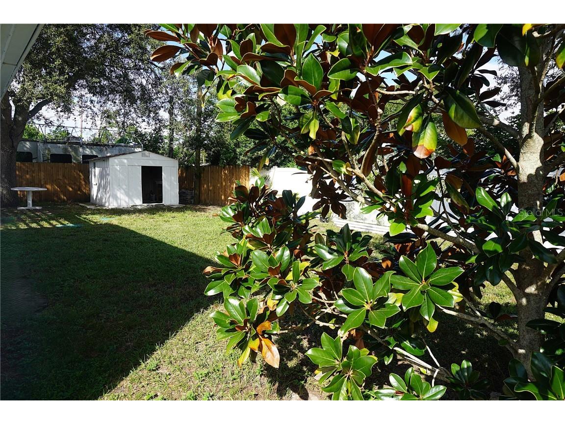 1408 Jennings Drive Holiday FL 34690 TB8439874 image34