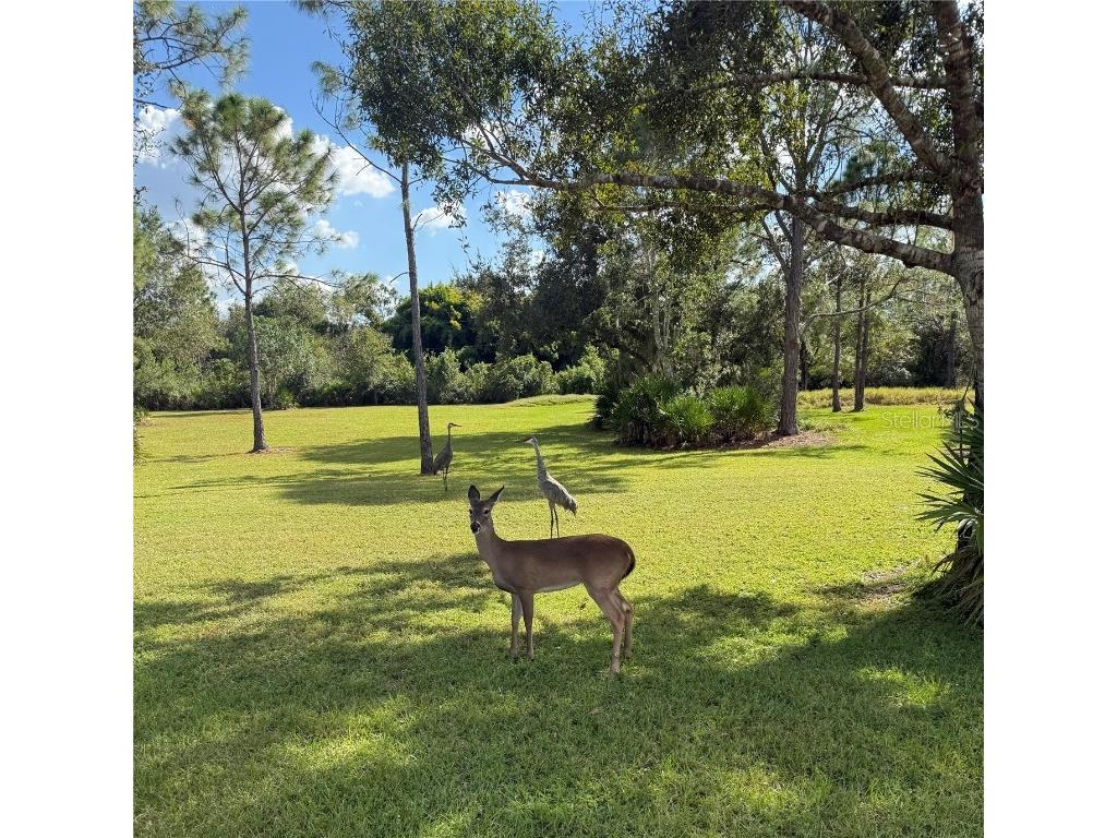 1408 Oak Hammock Road Sarasota FL 34240 A4669875 image3