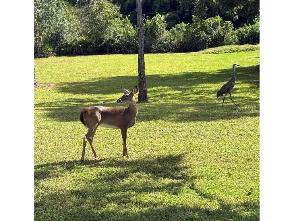 1408 Oak Hammock Road Sarasota FL 34240 A4669875 image57