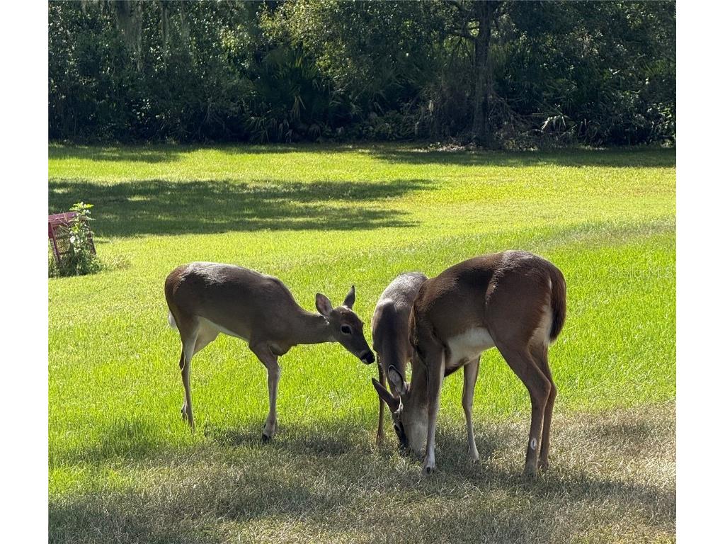 1408 Oak Hammock Road Sarasota FL 34240 A4669875 image59