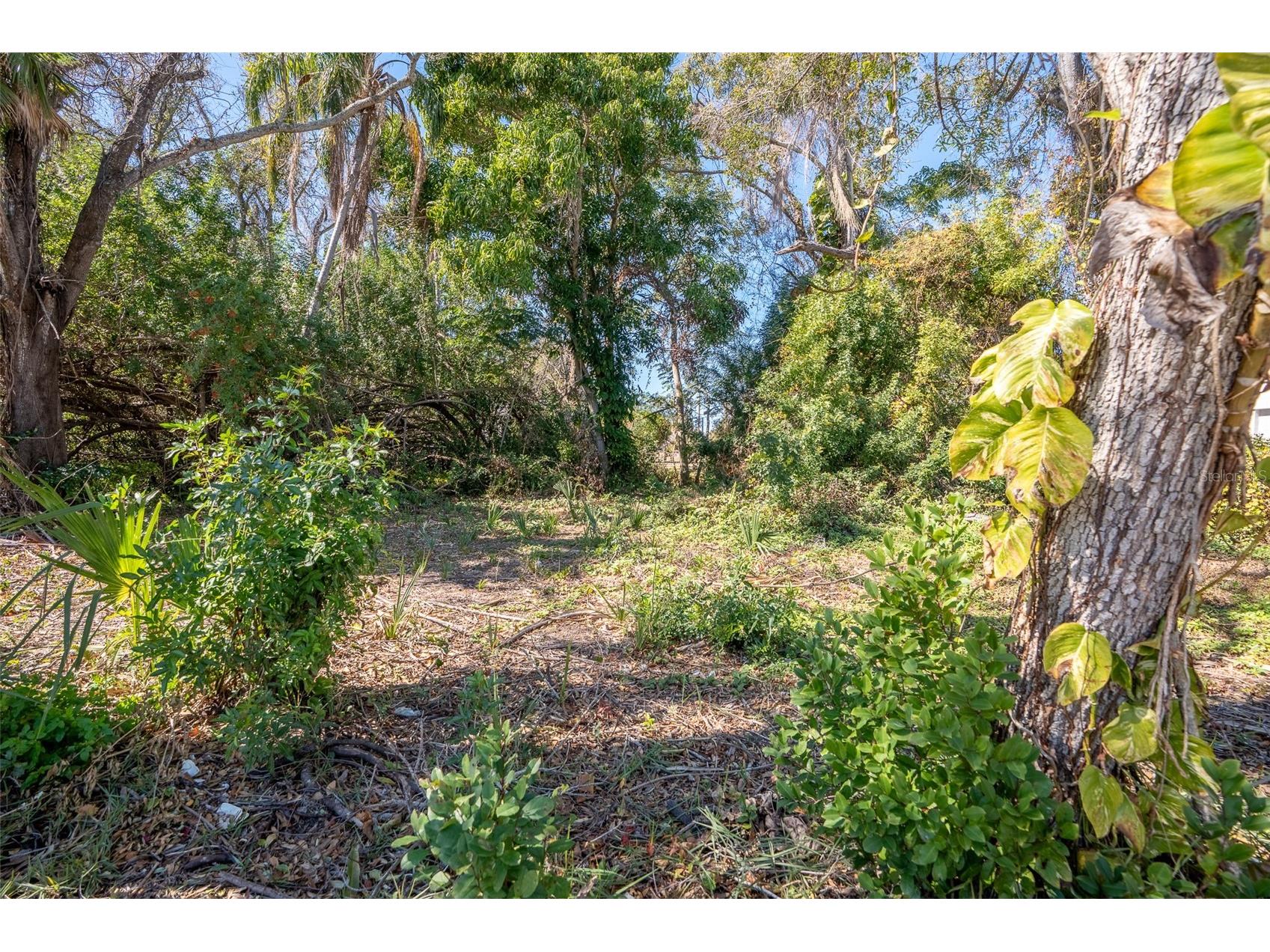 1408 Pennsylvania Avenue Clearwater FL 33755 TB8473387 image26