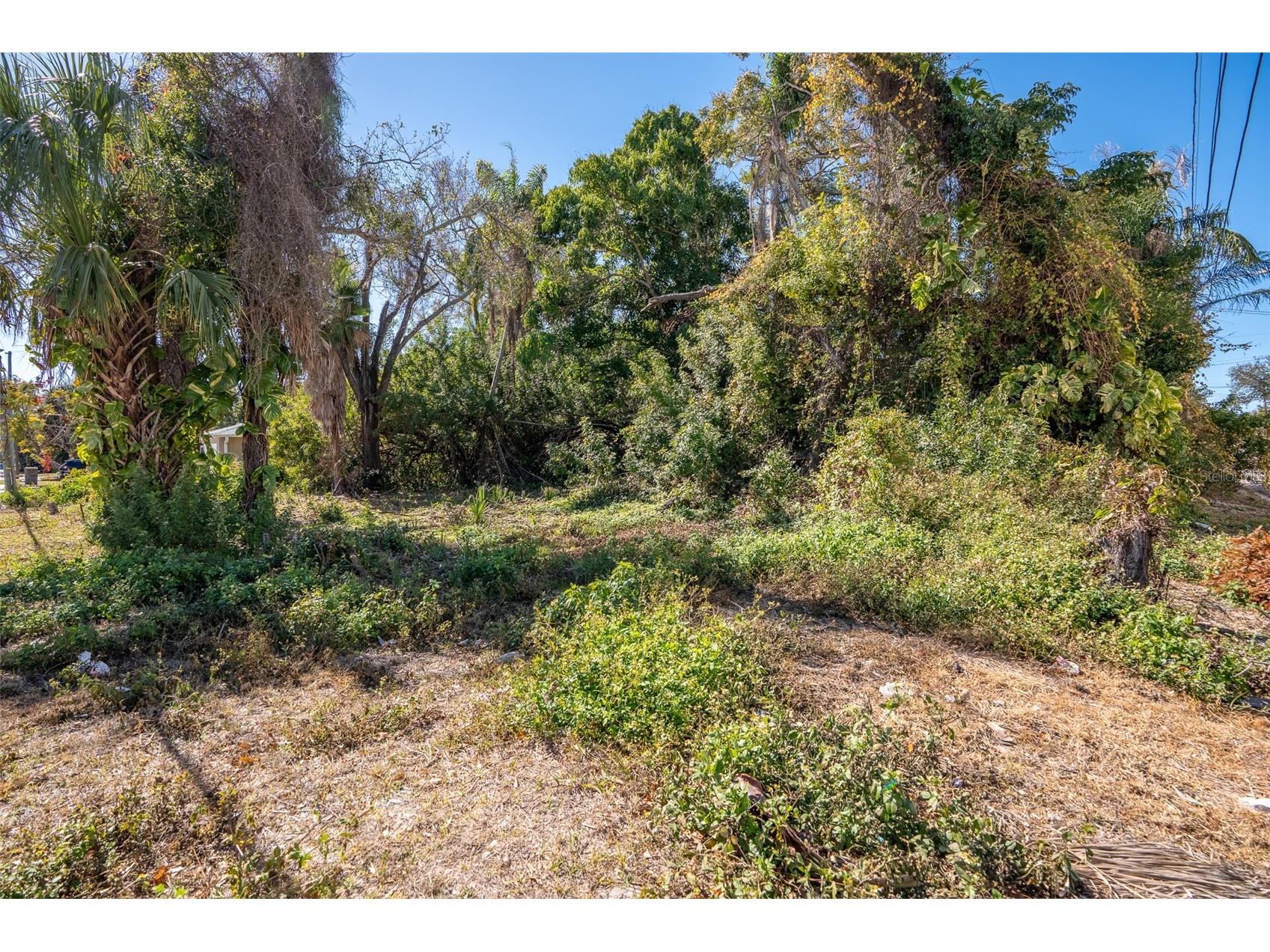 1408 Pennsylvania Avenue Clearwater FL 33755 TB8473387 image27