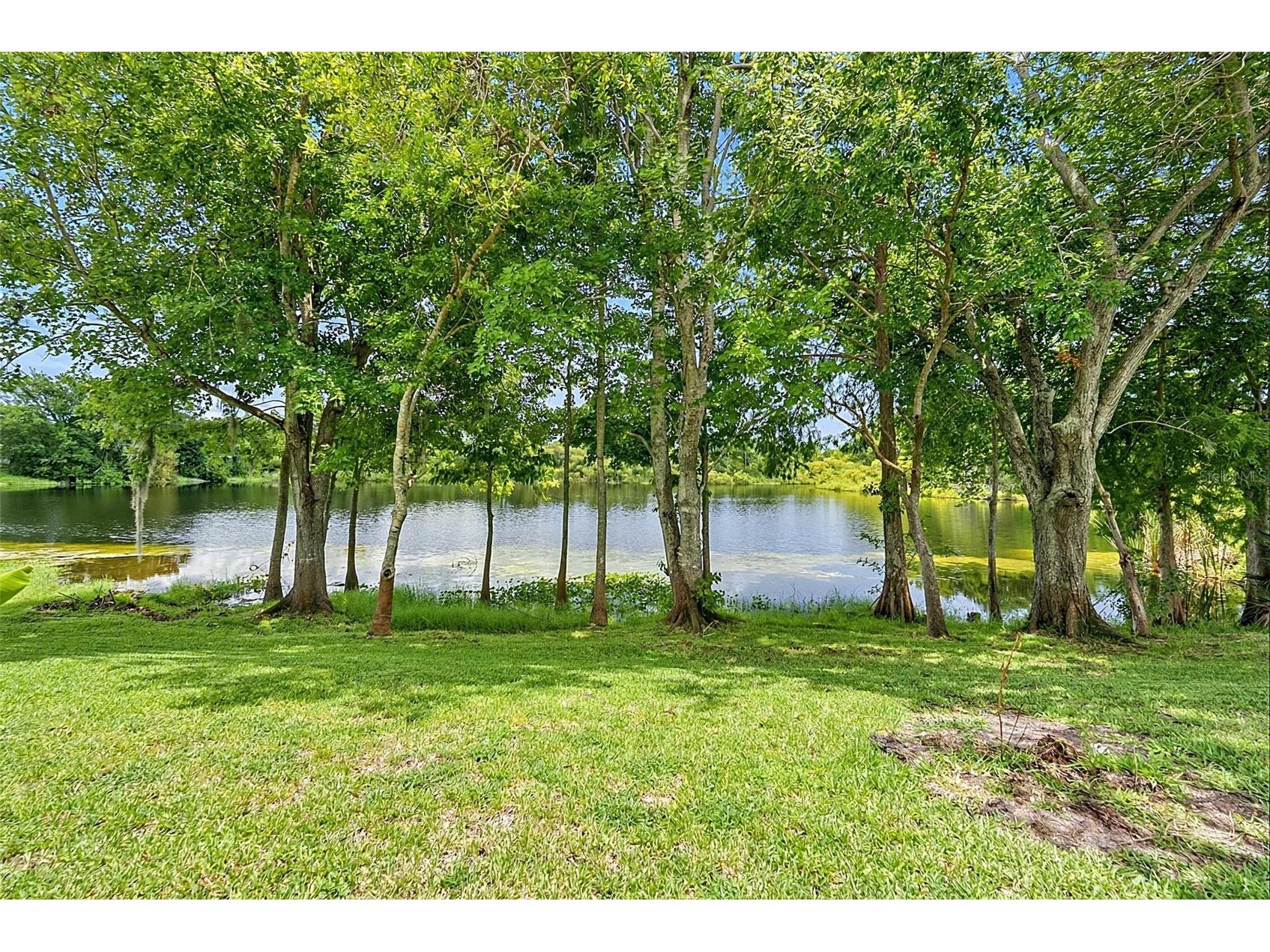 1408 Royal Grove Lane Port Orange FL 32129 FC318783 image31