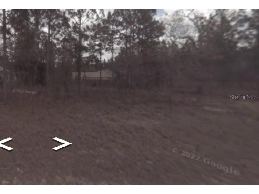 1408 W Diamond Drive Citrus Springs FL 34434 D6125796 image1