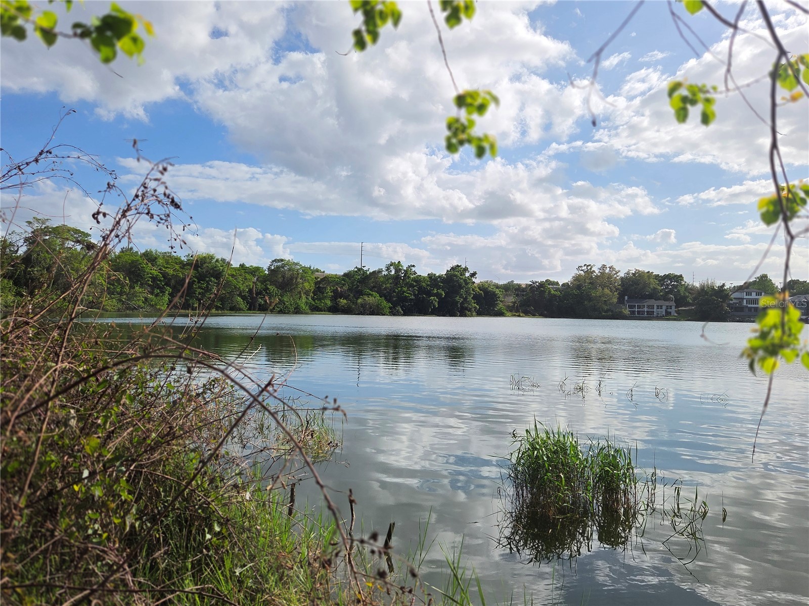 1408 Westmoreland Avenue Eustis FL 32726 - LAKE LOUISE G5110918 image1