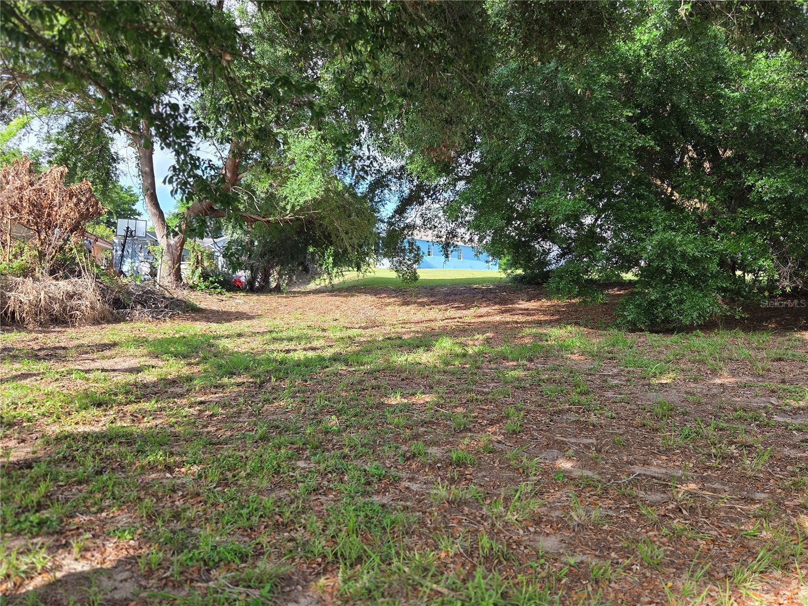 1408 Westmoreland Avenue Eustis FL 32726 - LAKE LOUISE G5110918 image10