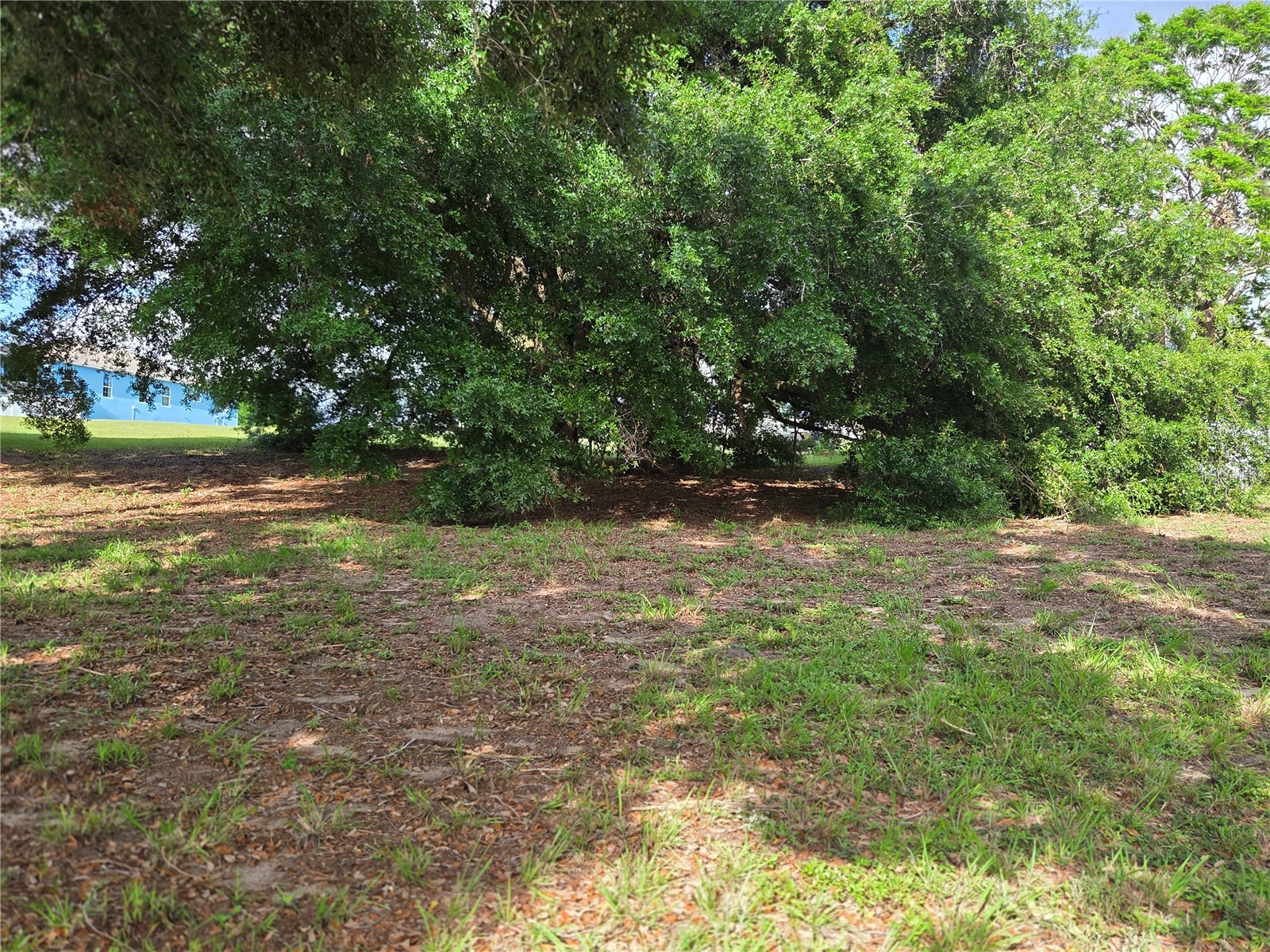 1408 Westmoreland Avenue Eustis FL 32726 - LAKE LOUISE G5110918 image11