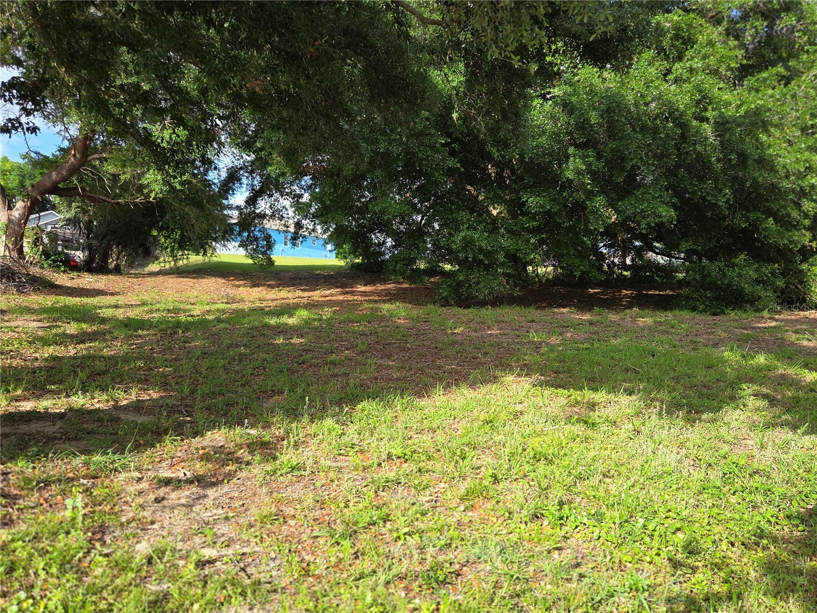 1408 Westmoreland Avenue Eustis FL 32726 - LAKE LOUISE G5110918 image12