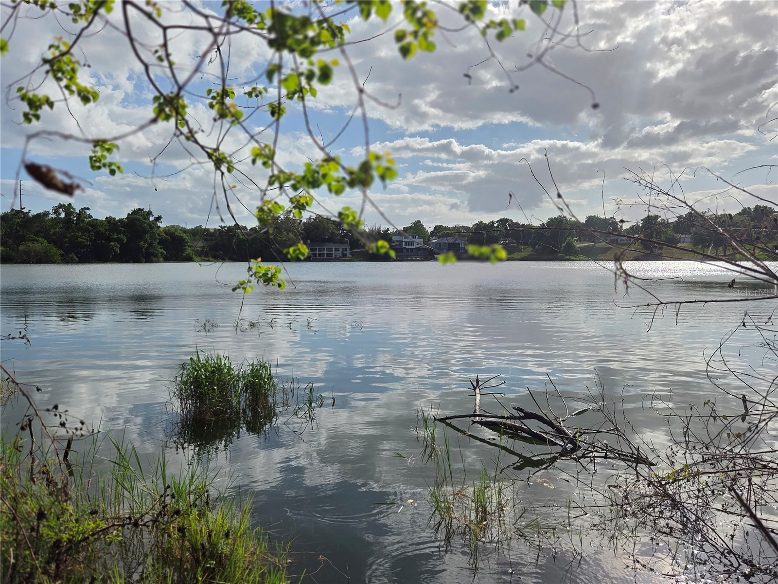 1408 Westmoreland Avenue Eustis FL 32726 - LAKE LOUISE G5110918 image19