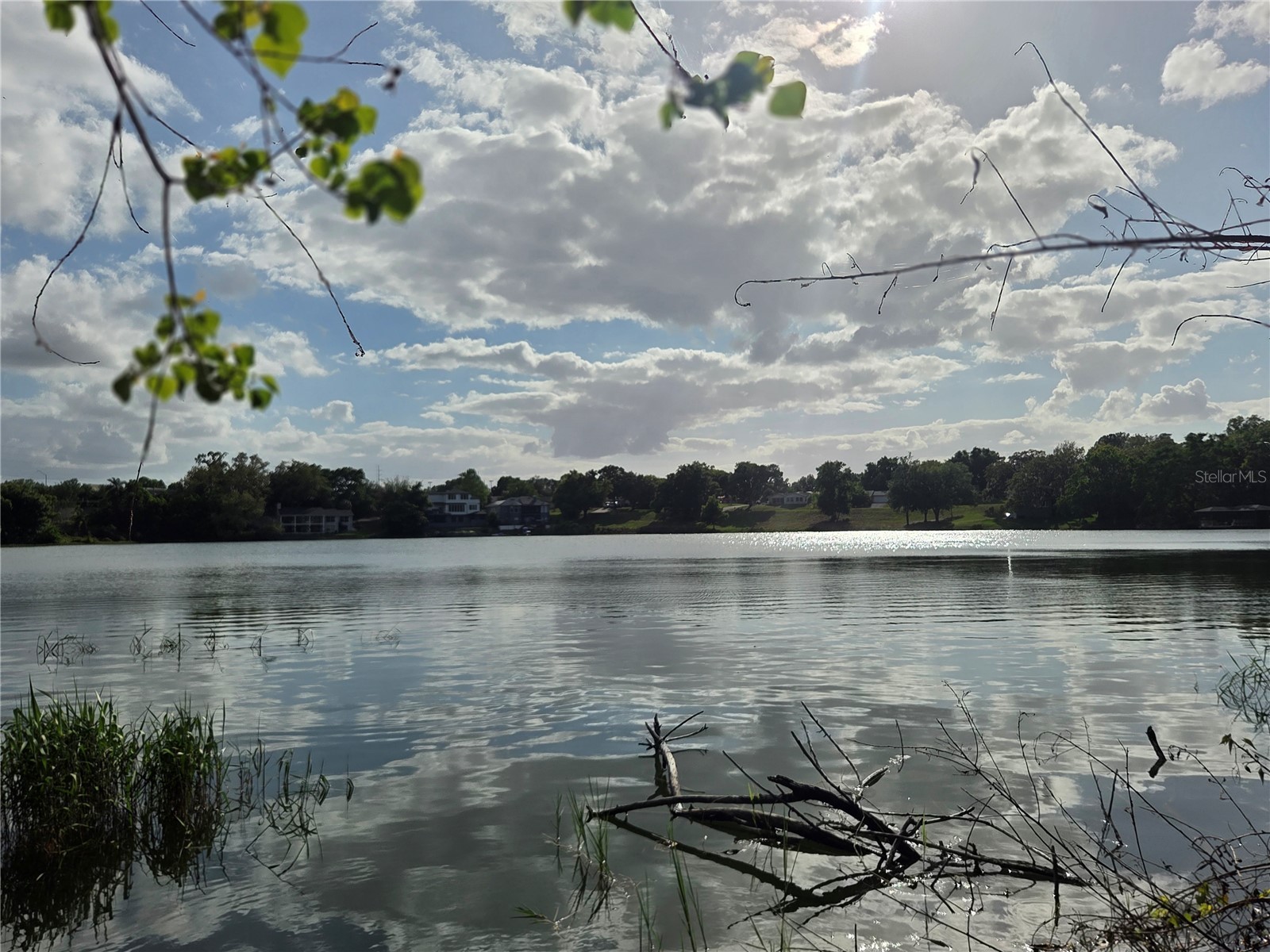 1408 Westmoreland Avenue Eustis FL 32726 - LAKE LOUISE G5110918 image3