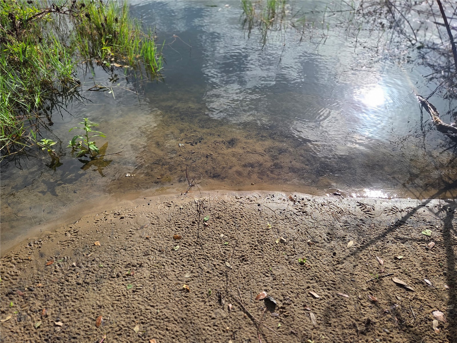 1408 Westmoreland Avenue Eustis FL 32726 - LAKE LOUISE G5110918 image5