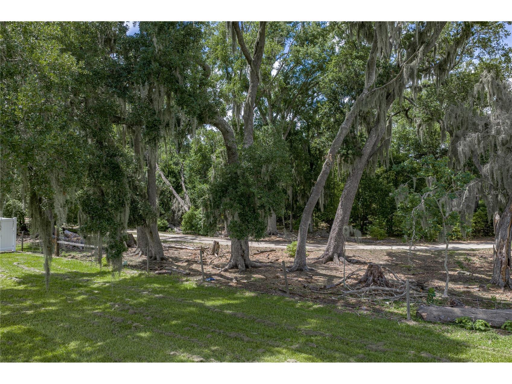 14080 Sydney Road Dover FL 33527 TB8514942 image23
