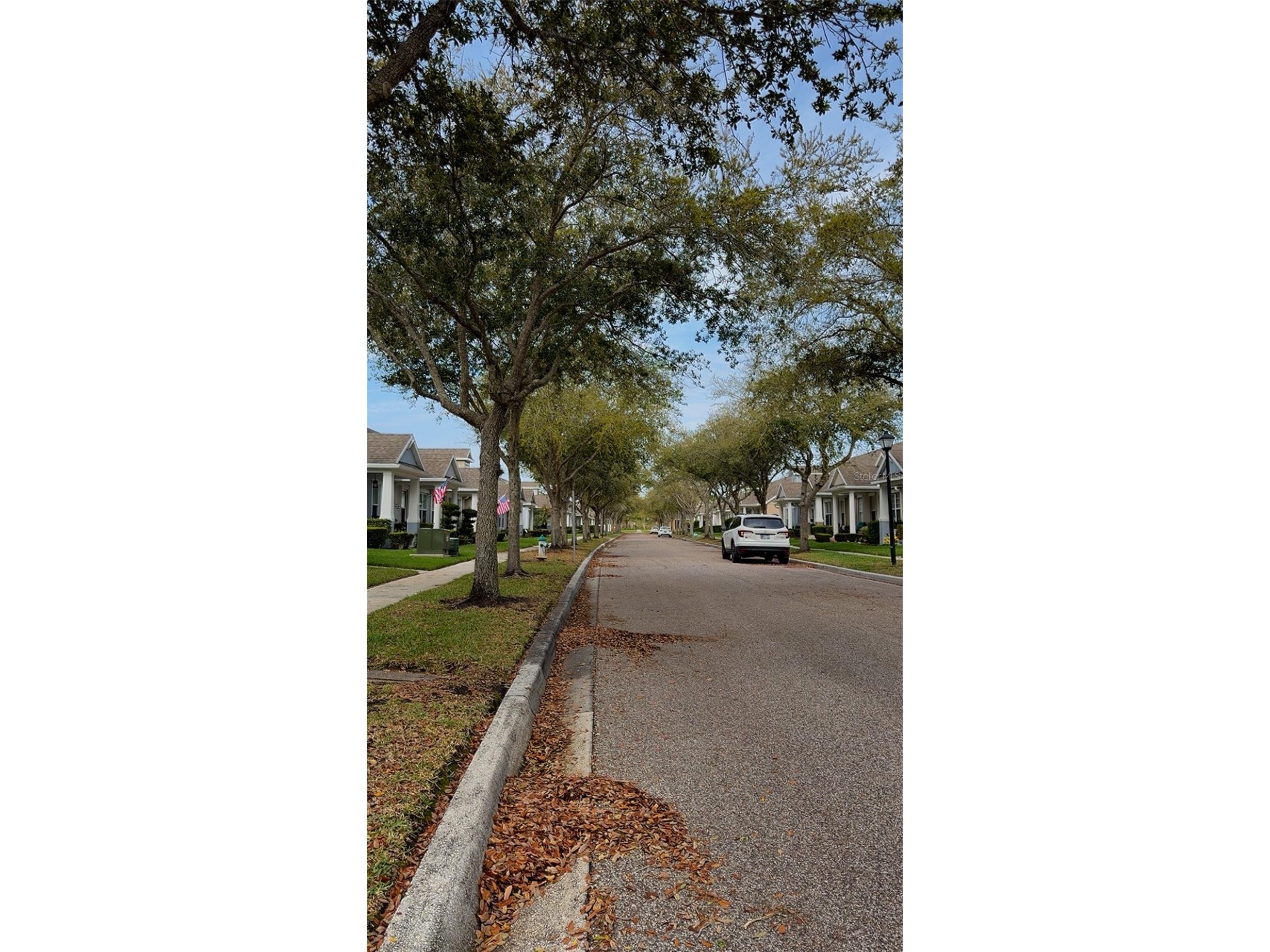 14084 Wild Majestic Street Orlando FL 32828 O6391156 image2