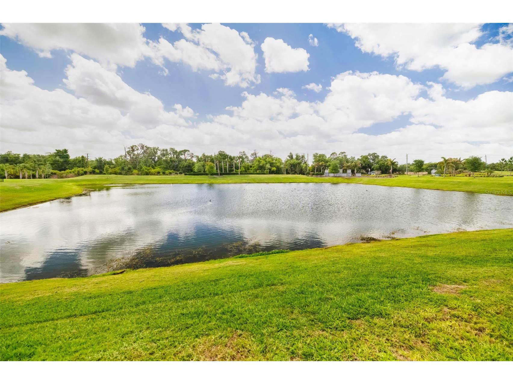 14086 Ginnie Springs Way Parrish FL 34219 A4689836 image30