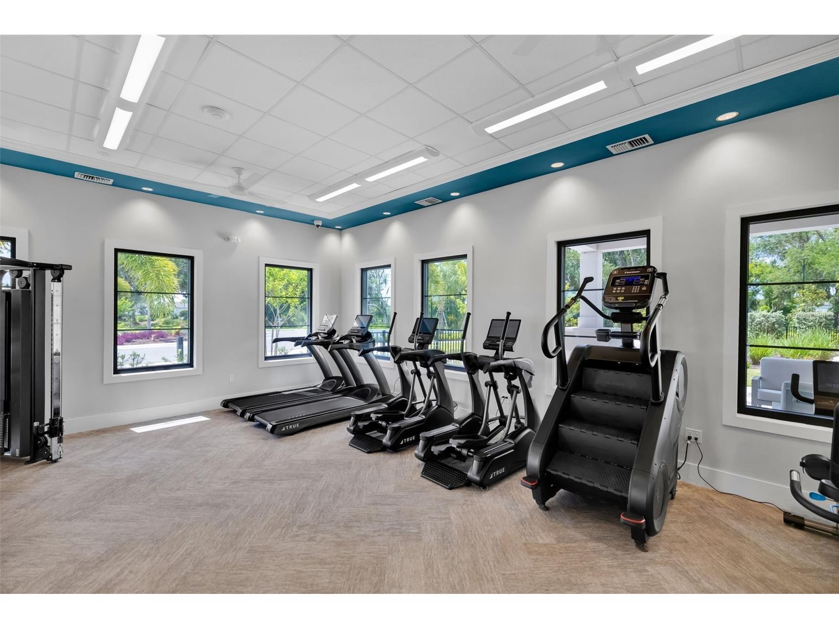 14086 Ginnie Springs Way Parrish FL 34219 A4689836 image36