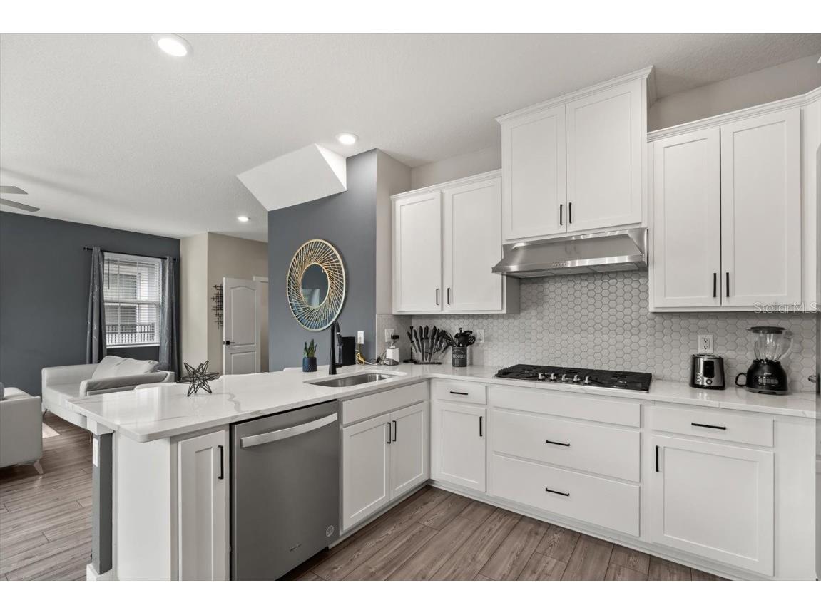 1409 Bellamy Drive Reunion FL 34747 O6367776 image8