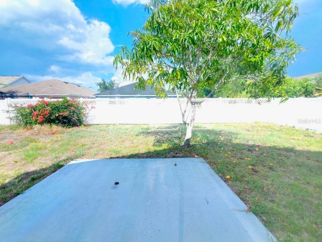1409 Delano Trent Street Ruskin FL 33570 TB8488951 image20