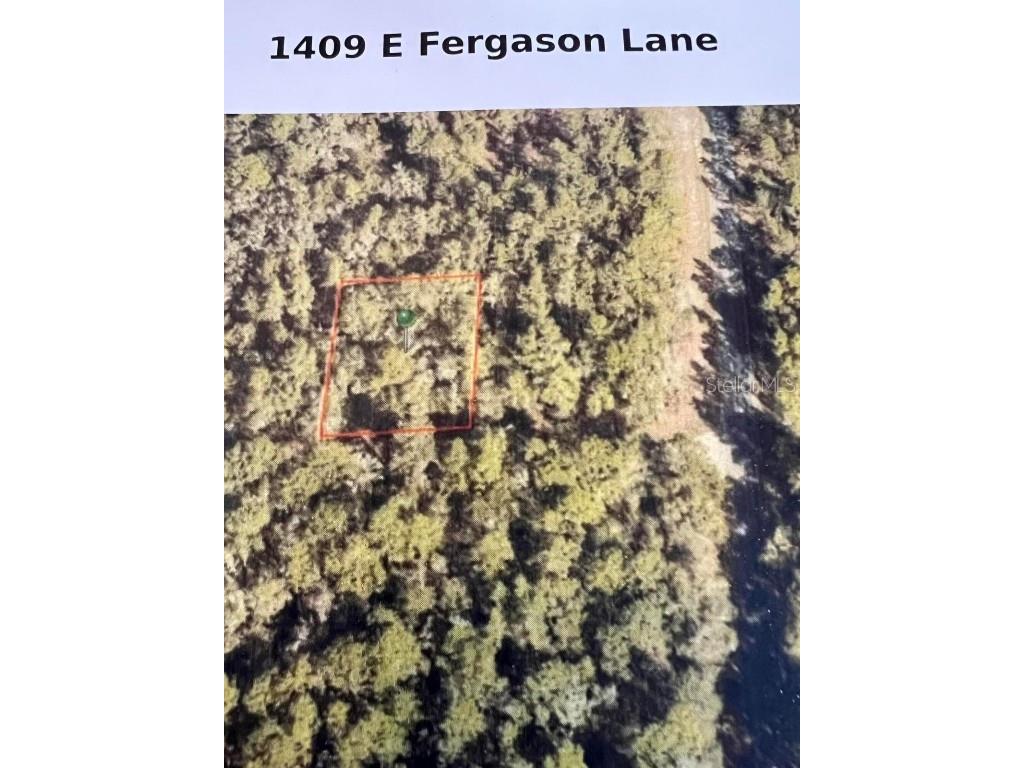 1409 E Fergason Lane Citrus Springs FL 34434 T3423101 image1