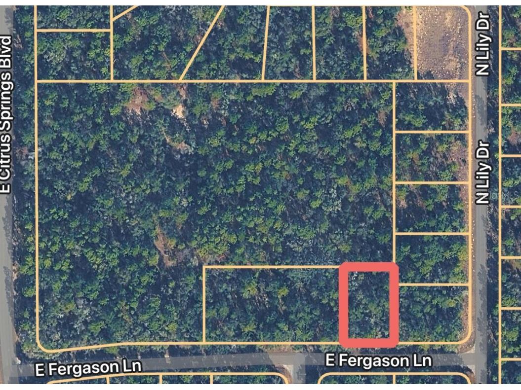 1409 E Fergason Lane Dunnellon FL 34434 OM716057 image1