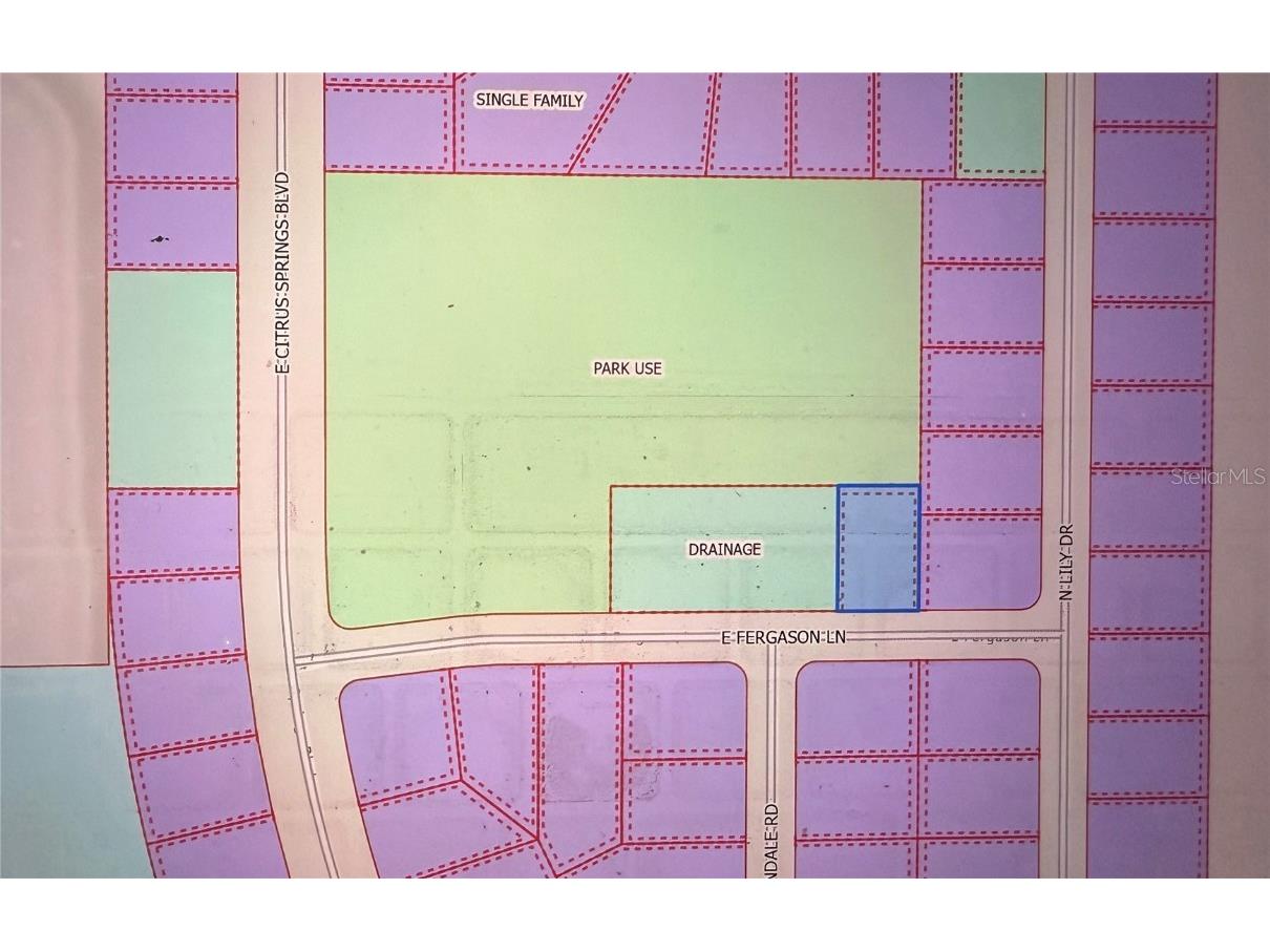 1409 E Fergason Lane Dunnellon FL 34434 OM716057 image3