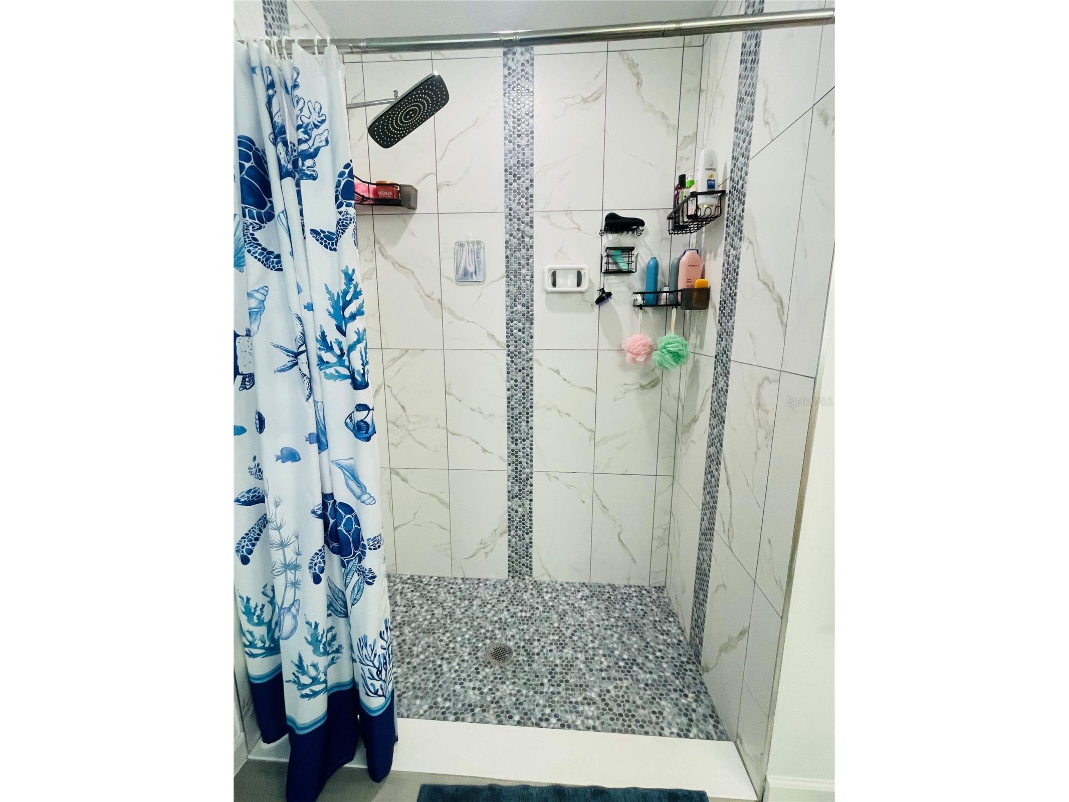 1409 Hillsborough Way Kissimmee FL 34759 O6399957 image14