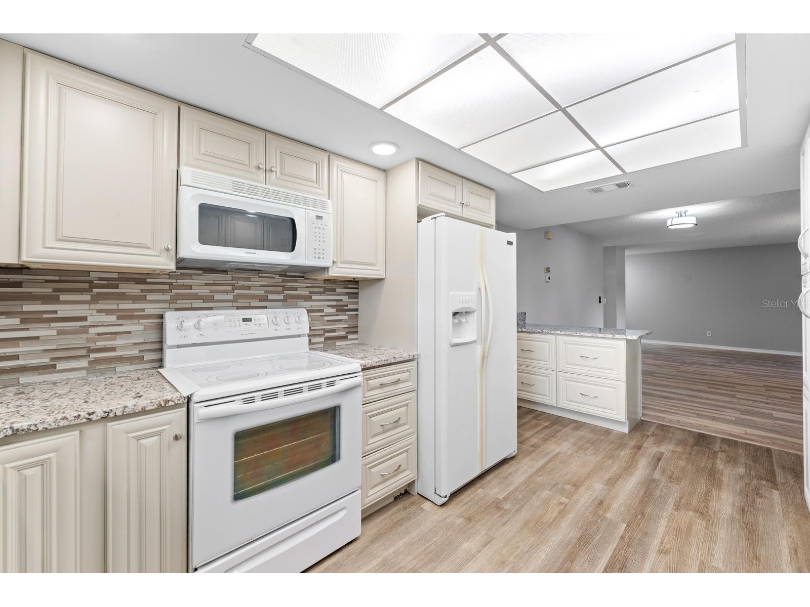 1409 Langley Drive #1409 Sun City Center FL 33573 TB8528875 image14