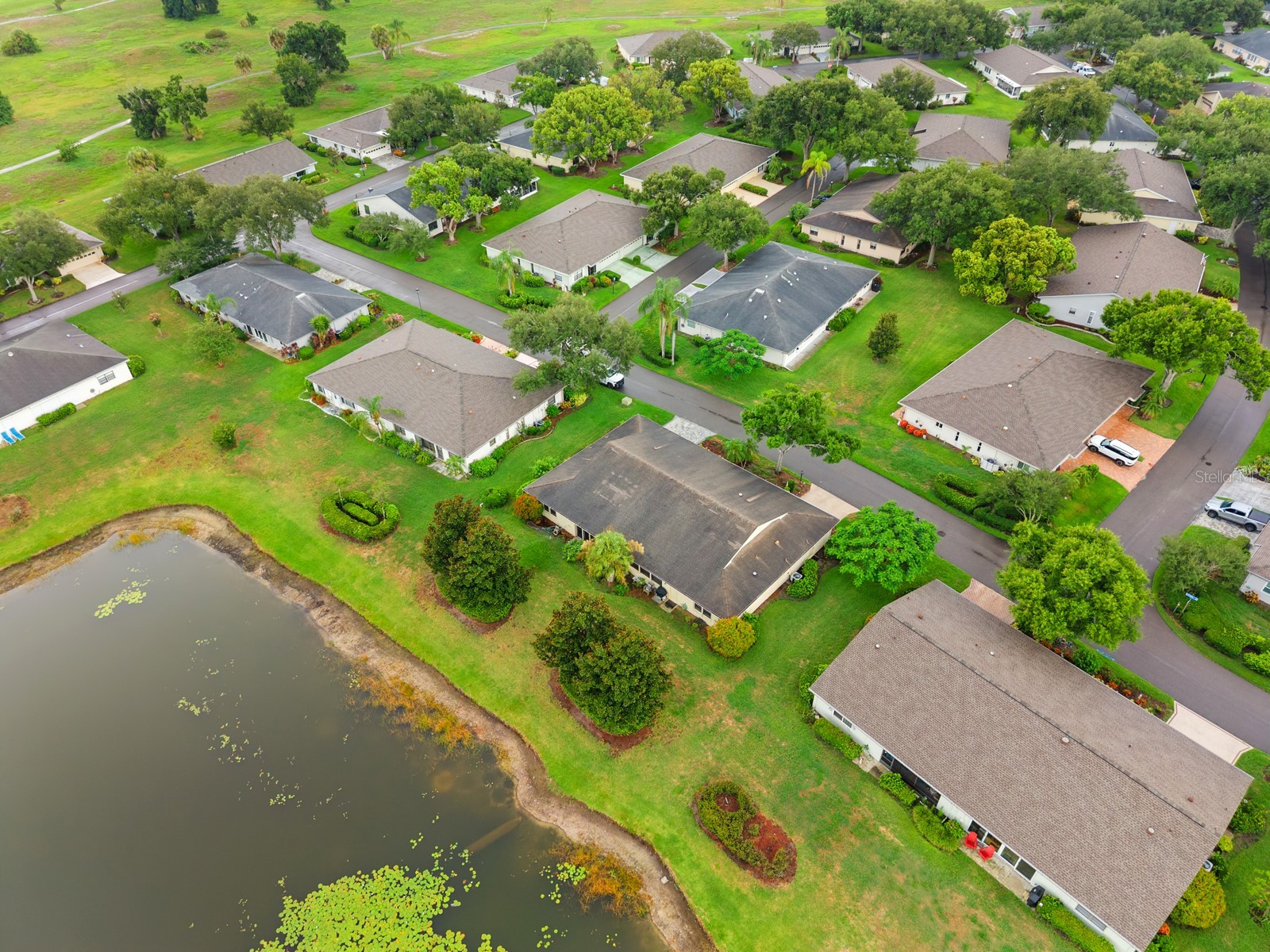 1409 Langley Drive #1409 Sun City Center FL 33573 TB8528875 image4