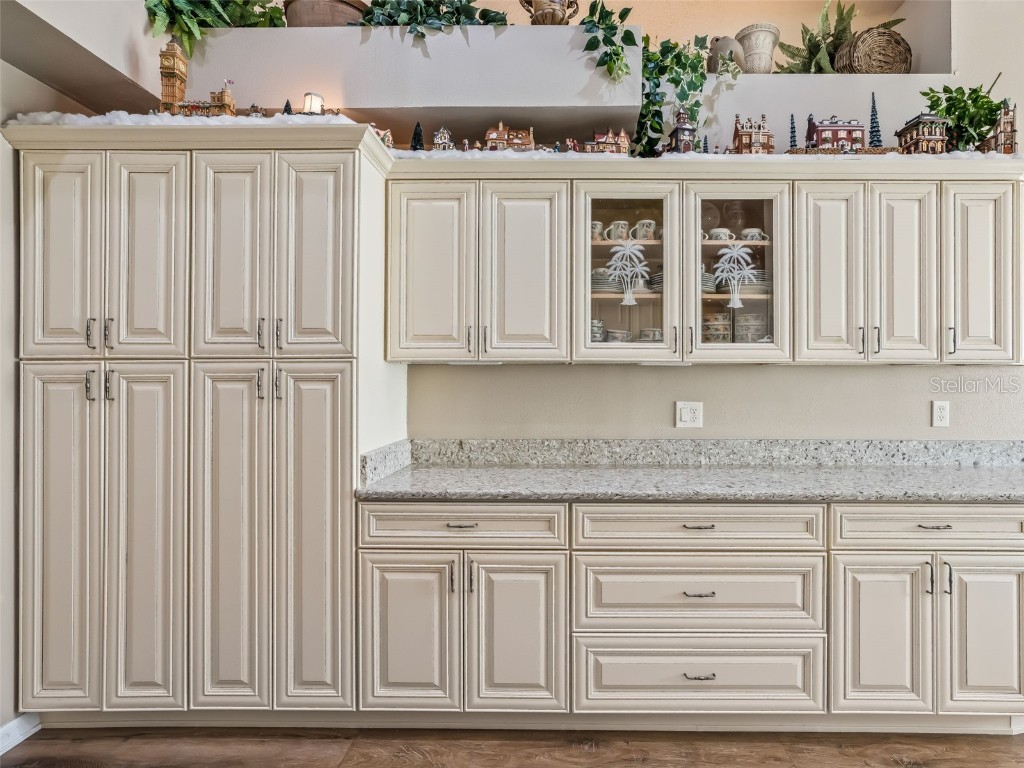 1409 Meadow View Way Lady Lake FL 32159 G5105148 image27