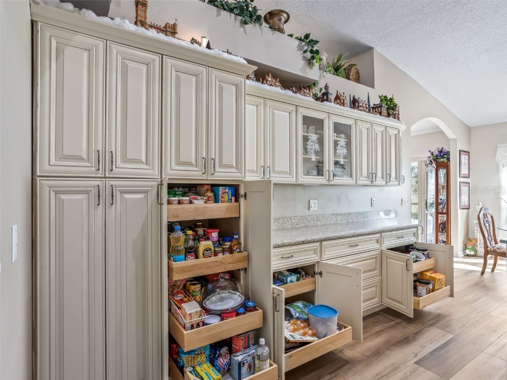 1409 Meadow View Way Lady Lake FL 32159 G5105148 image29