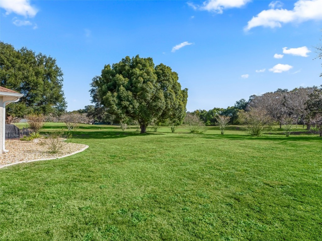 1409 Meadow View Way Lady Lake FL 32159 G5105148 image50