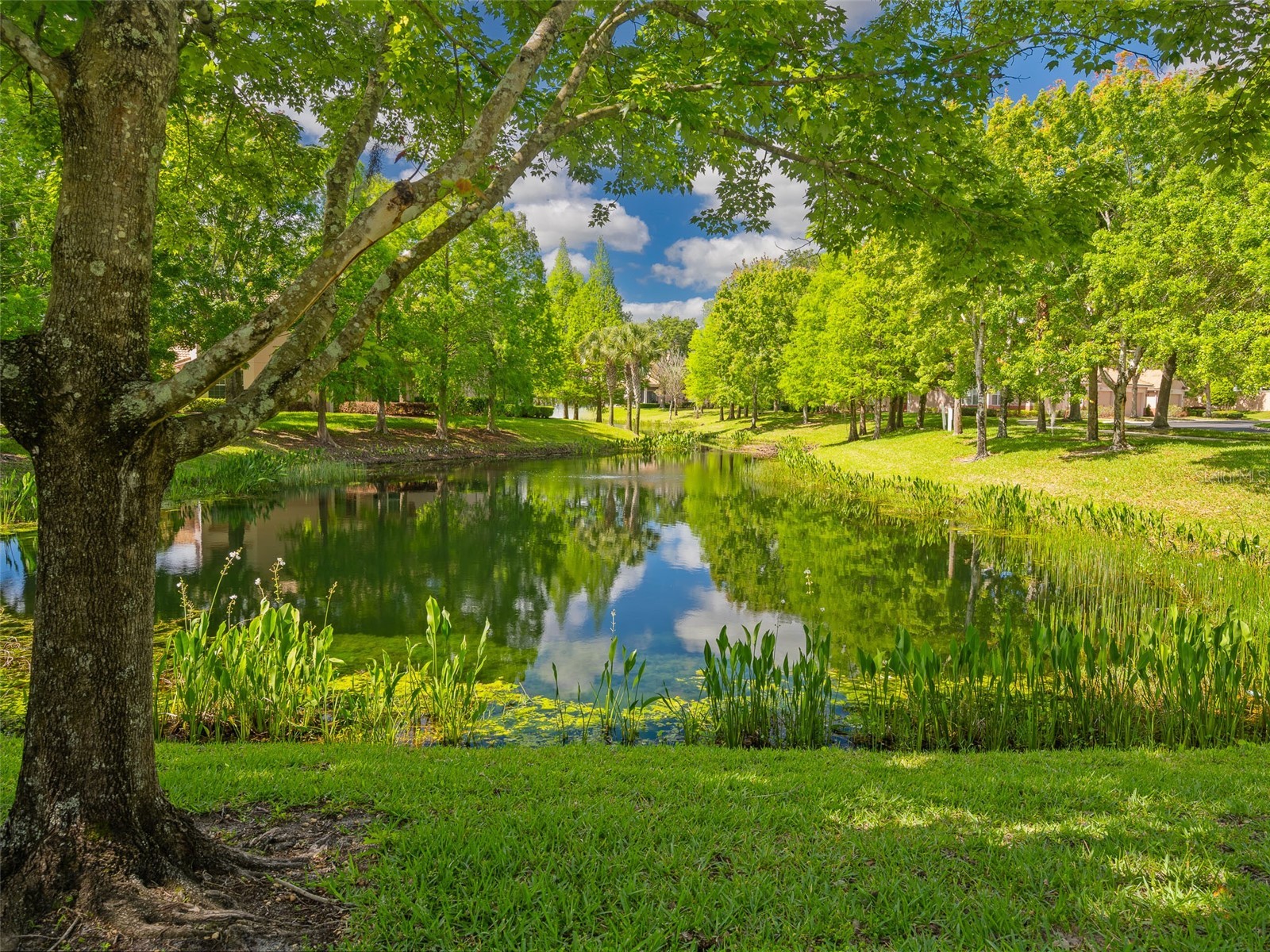 1409 Milledge Lane #1409 Davenport FL 33896 O6400093 image36