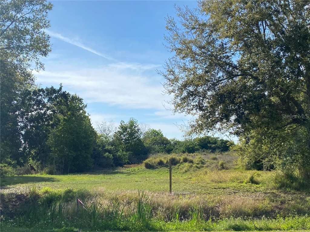 1409 N Fullers Cross Road Winter Garden FL 34787 - LAKE APOPKA O6185995 image1