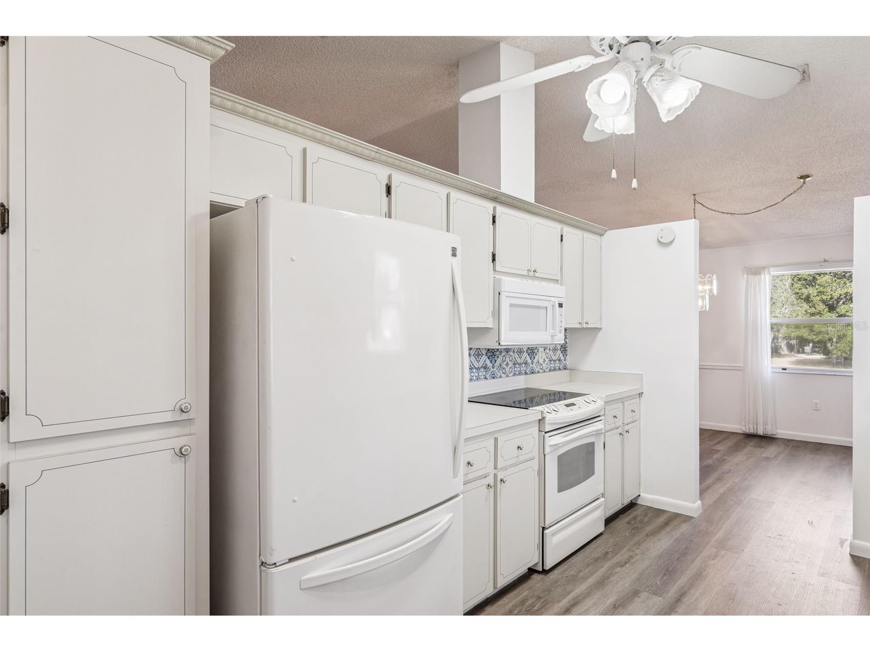 1409 New Abbey Avenue Leesburg FL 34788 S5141380 image11