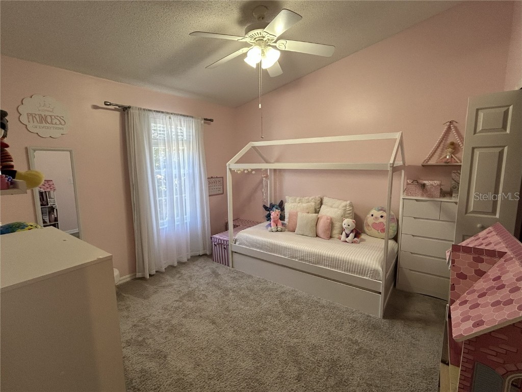 1409 Sedgwick Drive Wesley Chapel FL 33543 TB8443944 image15