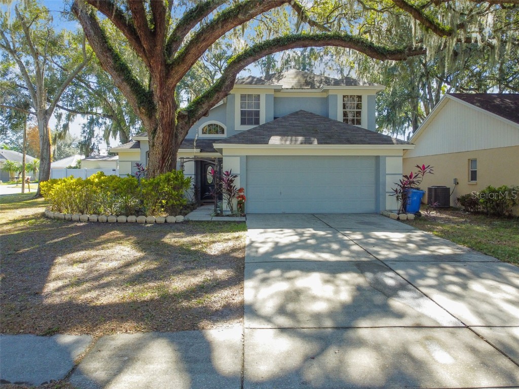 1409 Tiller Way Valrico FL 33594 T3494865 image1