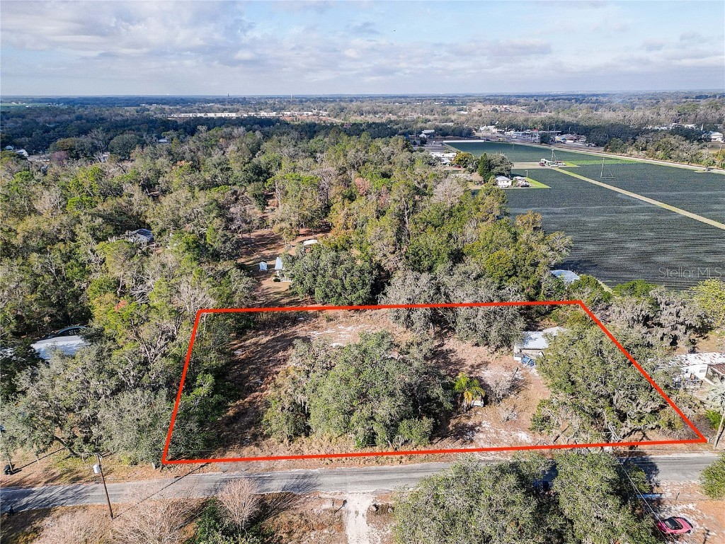 1409 Wilkinson Drive Plant City FL 33566 TB8342473 image1