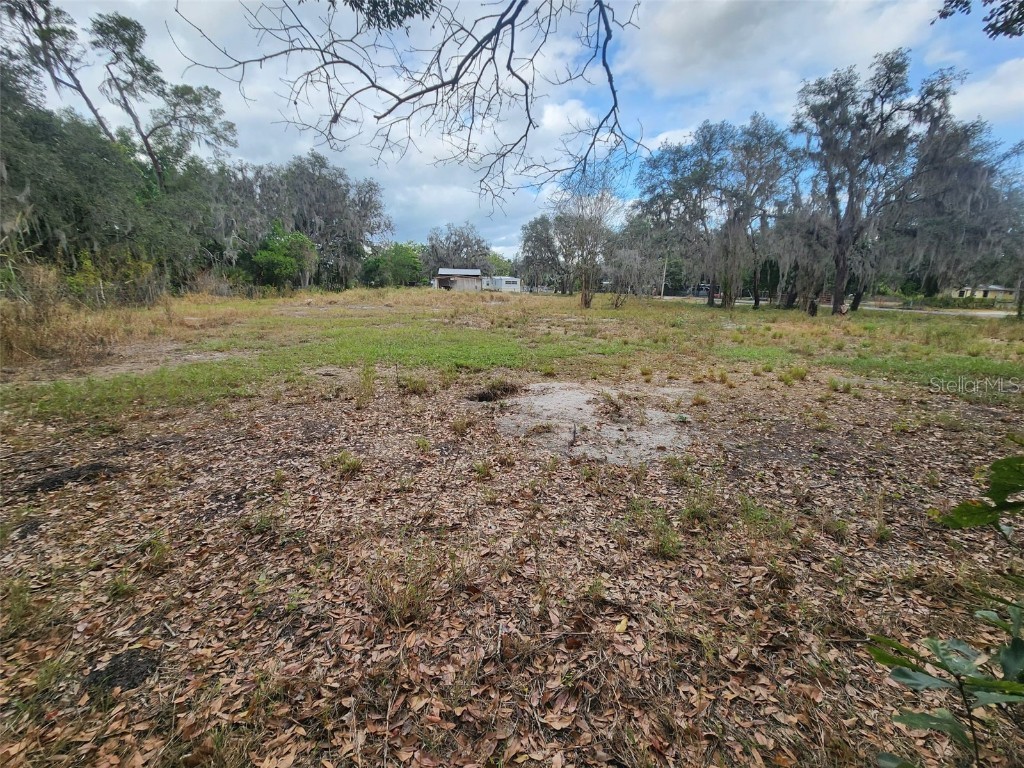 1409 Wilkinson Drive Plant City FL 33566 TB8453349 image5