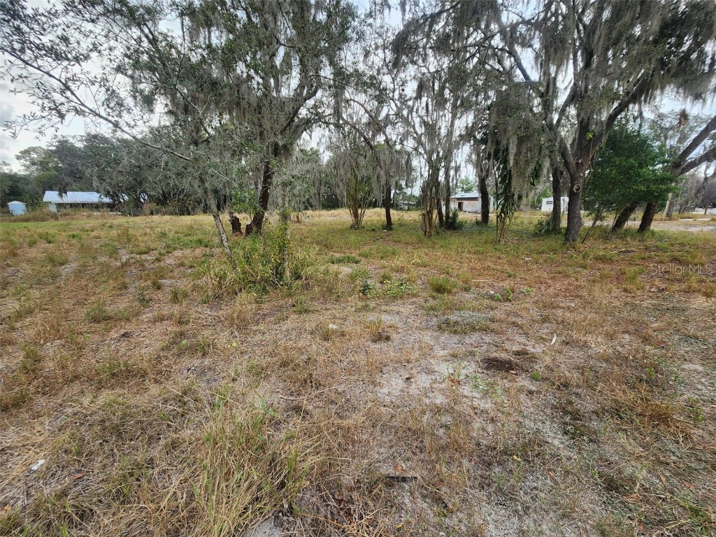 1409 Wilkinson Drive Plant City FL 33566 TB8453349 image7