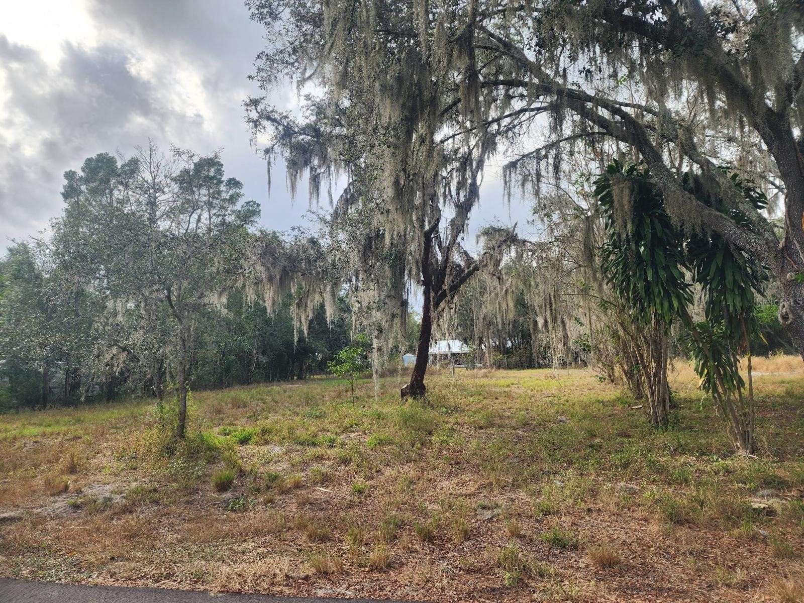 1409 Wilkinson Drive Plant City FL 33566 TB8514377 image1