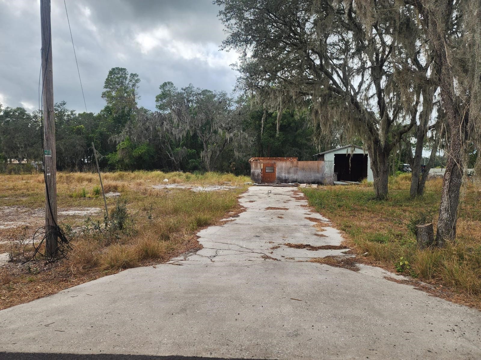 1409 Wilkinson Drive Plant City FL 33566 TB8514377 image10
