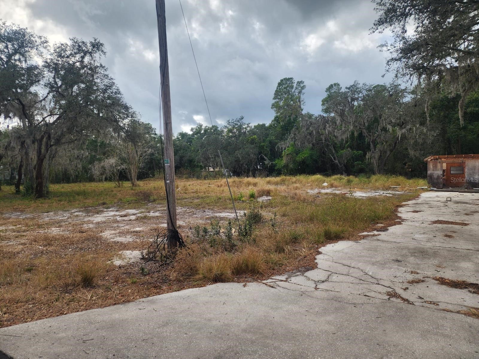 1409 Wilkinson Drive Plant City FL 33566 TB8514377 image2