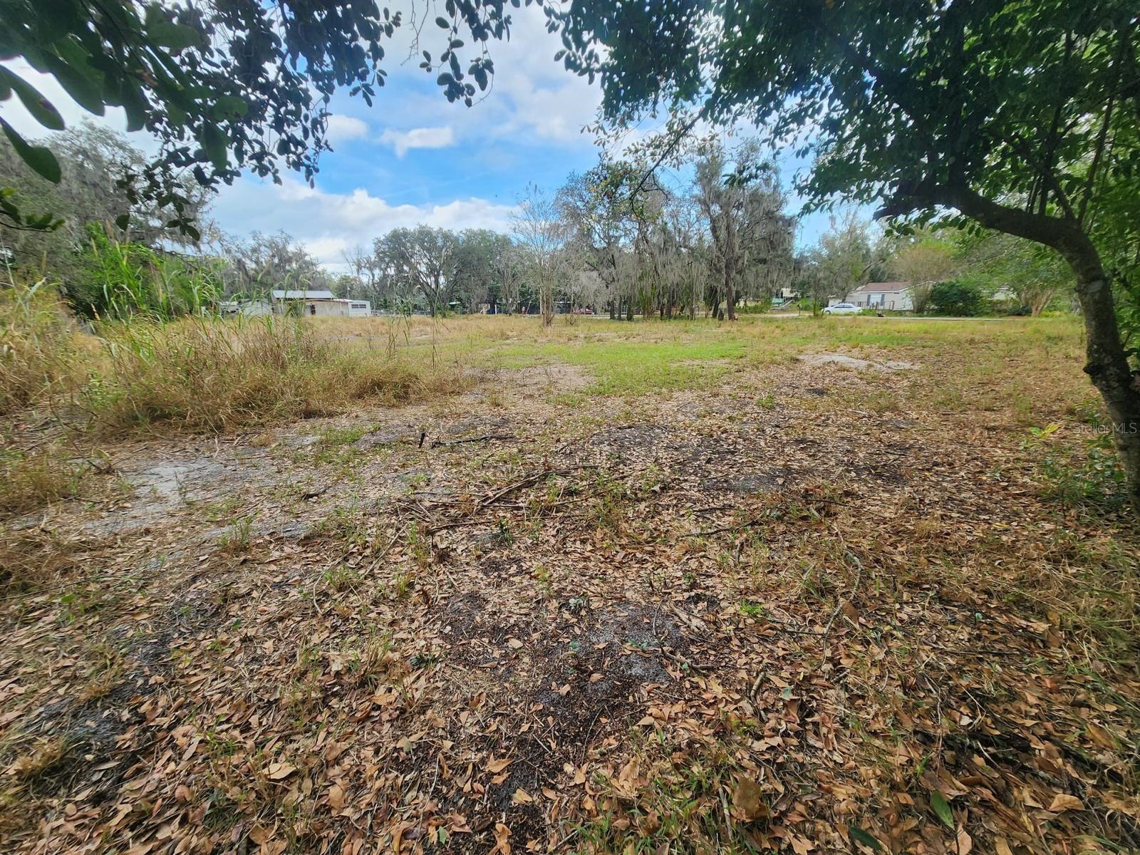 1409 Wilkinson Drive Plant City FL 33566 TB8514377 image3