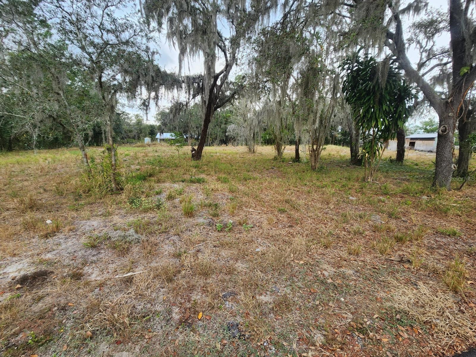 1409 Wilkinson Drive Plant City FL 33566 TB8514377 image8