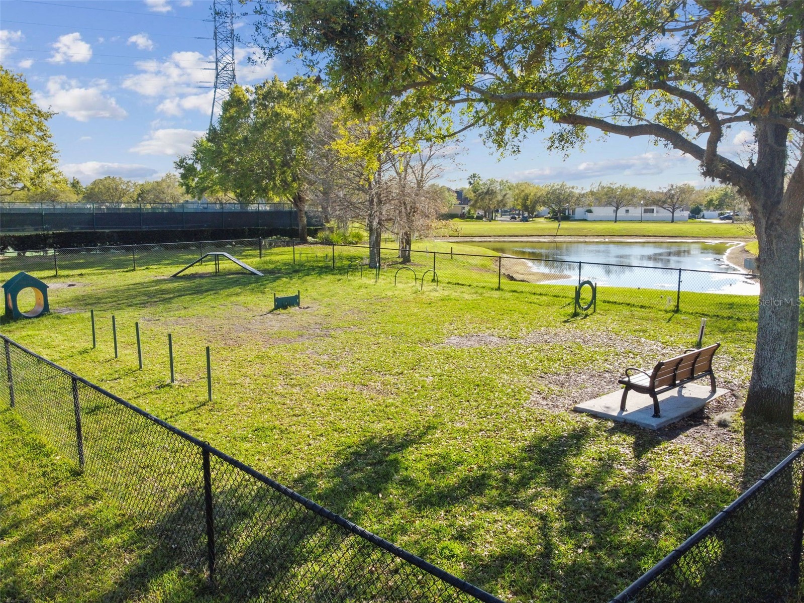 14090 Avenue Of The Groves Winter Garden FL 34787 - LAKE HAMOCK & LAKE SPEAR O6404288 image35
