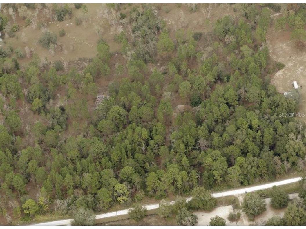 14091 Olympic Village Lane Brooksville FL 34614 U8206136 image1
