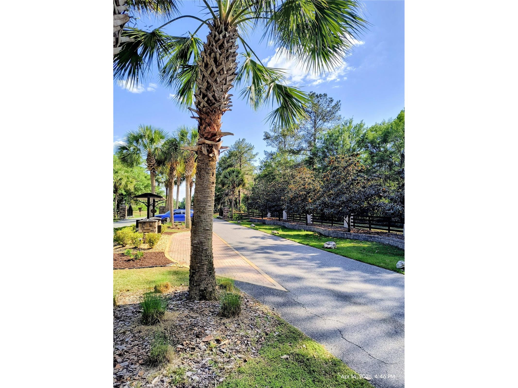 14095 NW 141st Avenue Williston FL 32696 OM722823 image10