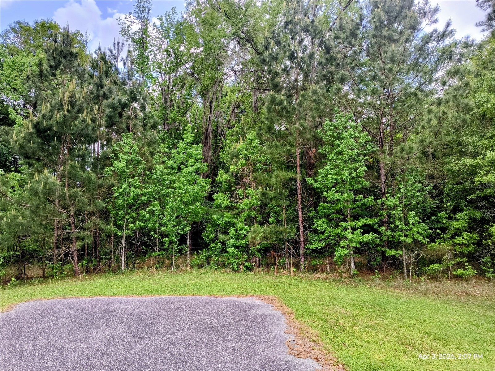 14095 NW 141st Avenue Williston FL 32696 OM722823 image6