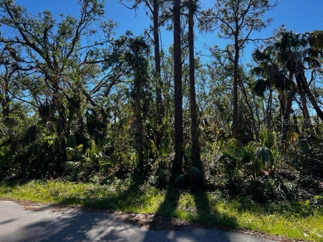14099 Slichter Avenue Port Charlotte FL 33953 C7469566 image1